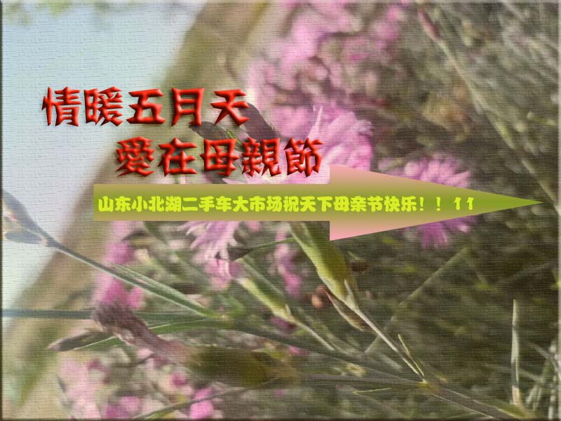 【小北湖二手车大市场】情暖五月天，爱在母亲节